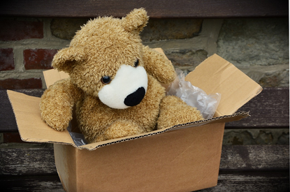 photo d'un carton de déménagement Accordem avec un ours en peluche dedans